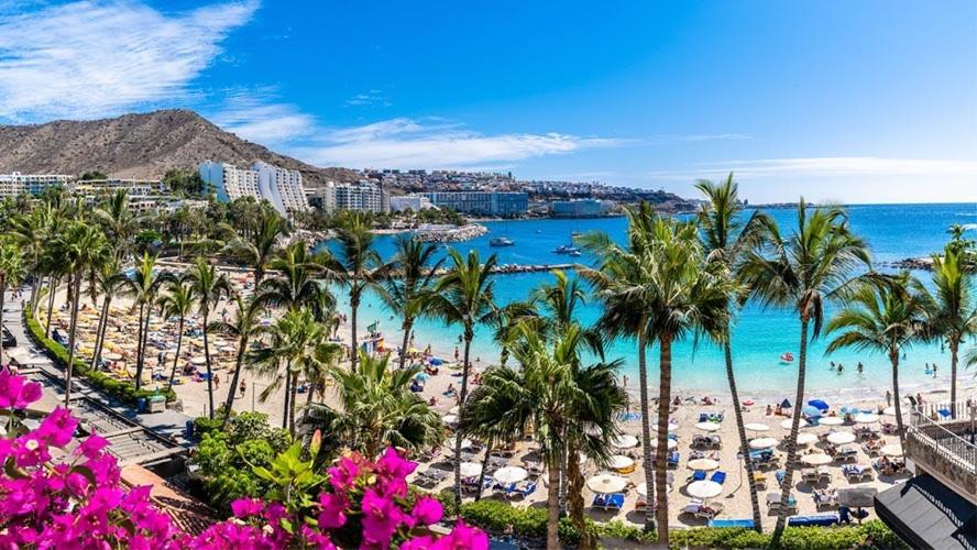 Gran Canaria Views Free Parking * Las Palmas de Gran Canaria